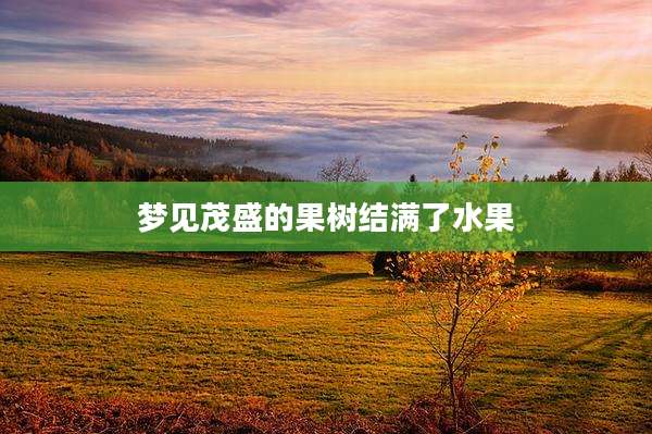 梦见茂盛的果树结满了水果