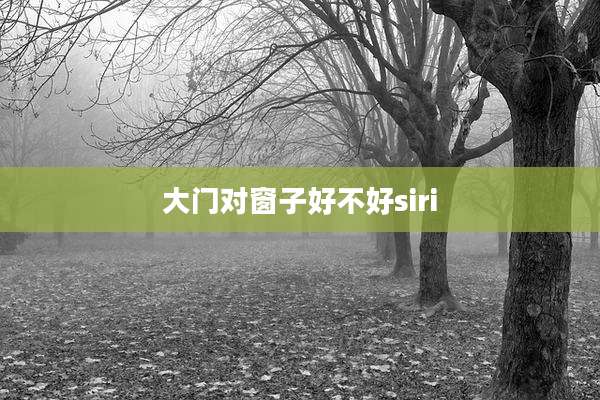 大门对窗子好不好siri