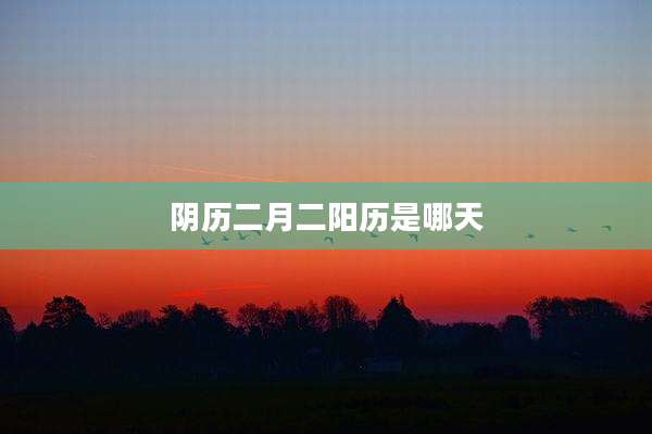 阴历二月二阳历是哪天