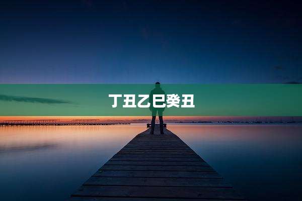 丁丑乙巳癸丑