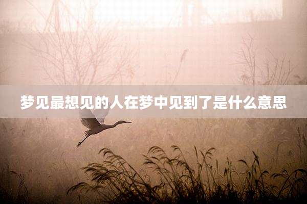 梦见最想见的人在梦中见到了是什么意思