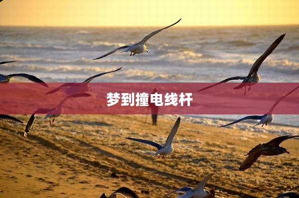 梦到撞电线杆