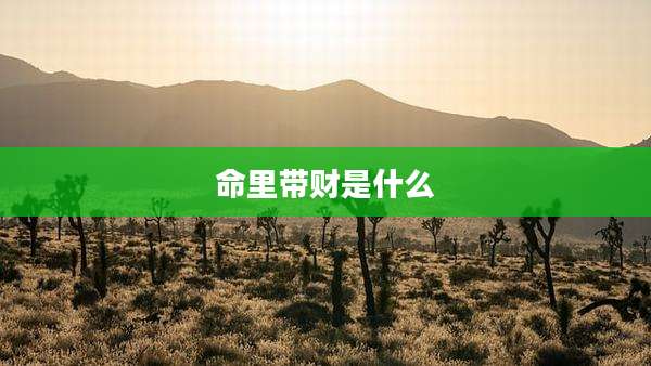 命里带财是什么