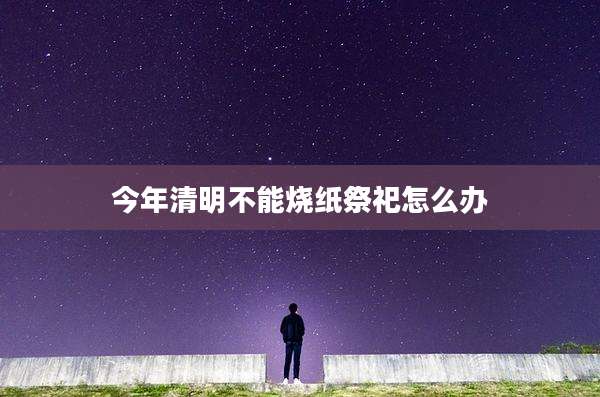 今年清明不能烧纸祭祀怎么办