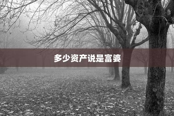 多少资产说是富婆