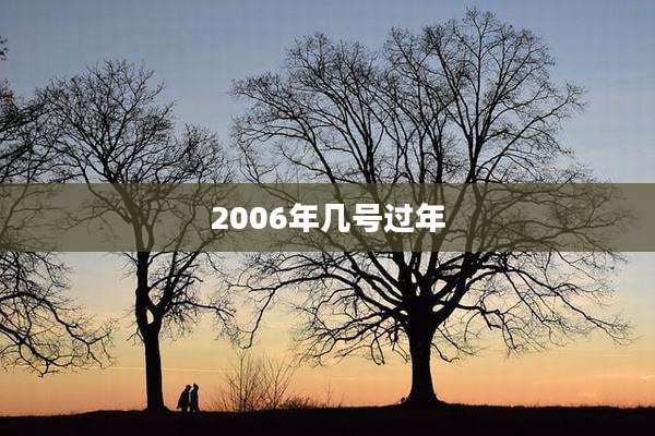 2006年几号过年