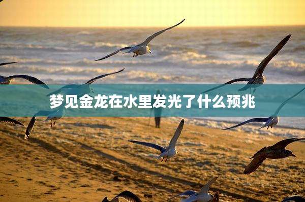 梦见金龙在水里发光了什么预兆