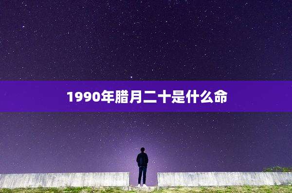 1990年腊月二十是什么命
