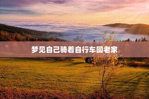 梦见自己骑着自行车回老家
