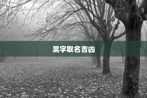 昊字取名吉凶