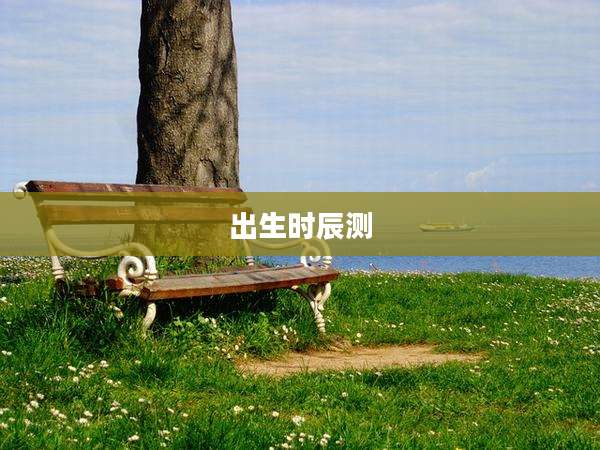 出生时辰测