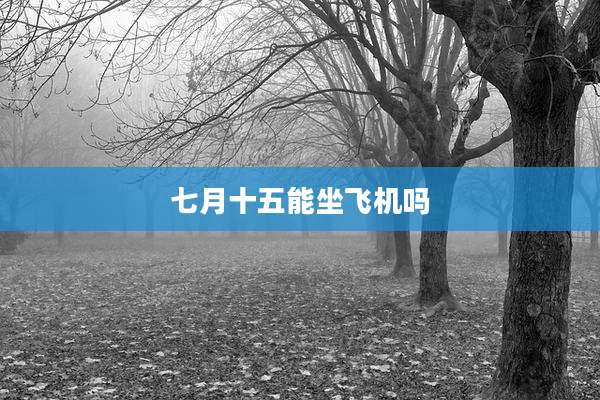 七月十五能坐飞机吗