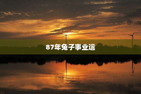 87年兔子事业运