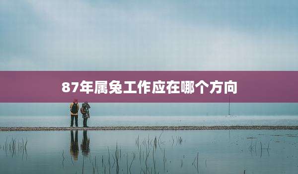 87年属兔工作应在哪个方向