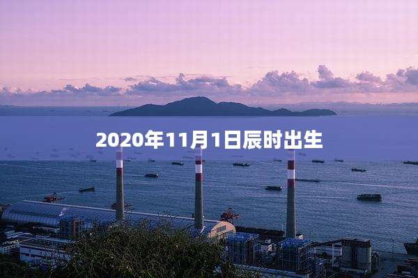2020年11月1日辰时出生