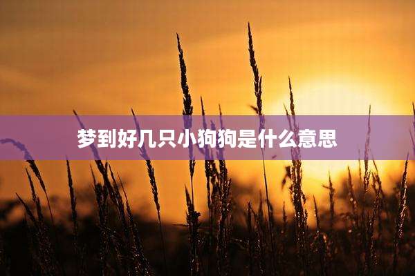 梦到好几只小狗狗是什么意思