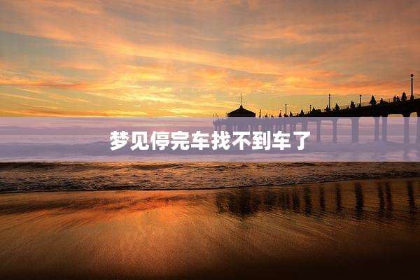 梦见停完车找不到车了