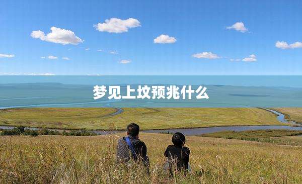 梦见上坟预兆什么