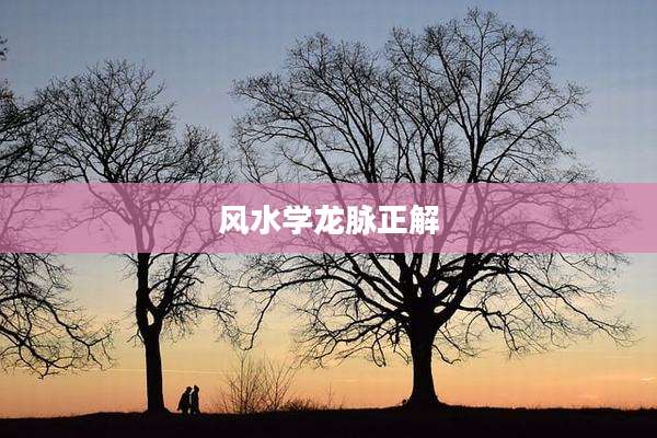 风水学龙脉正解