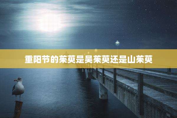 重阳节的茱萸是吴茱萸还是山茱萸