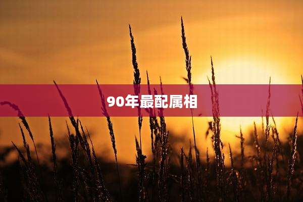 90年最配属相