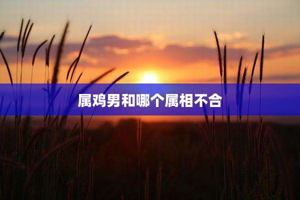 属鸡男和哪个属相不合