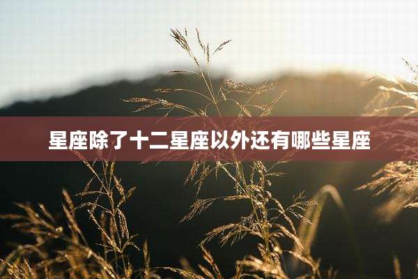 星座除了十二星座以外还有哪些星座