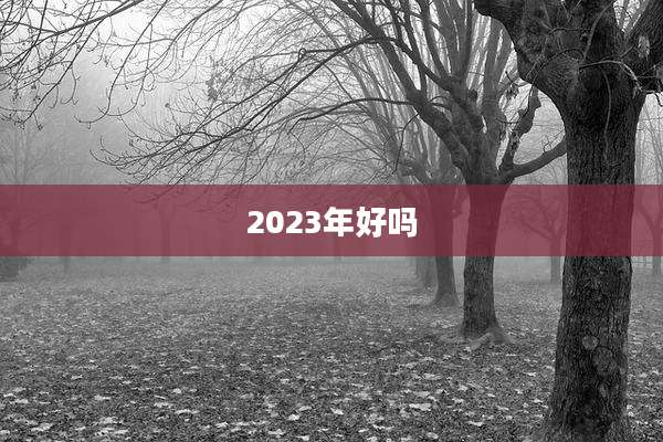 2023年好吗