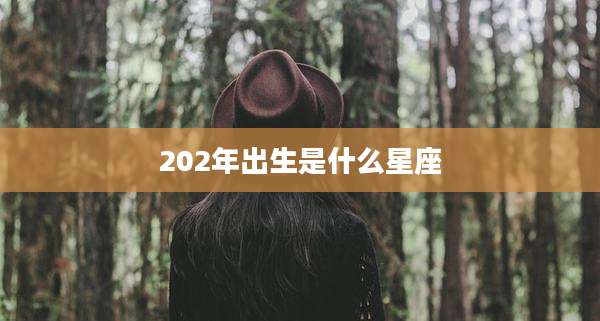 202年出生是什么星座