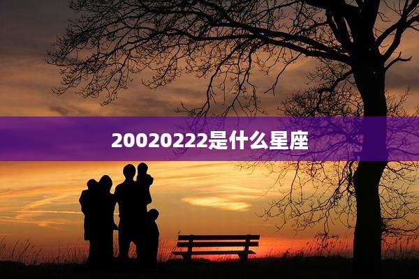 20020222是什么星座