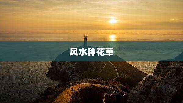 风水种花草