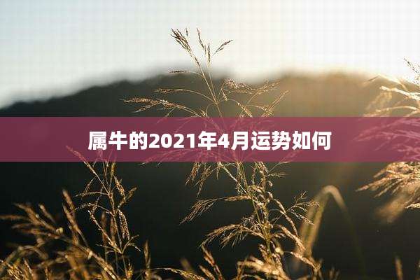 属牛的2021年4月运势如何