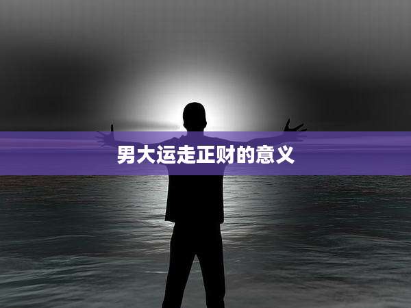 男大运走正财的意义
