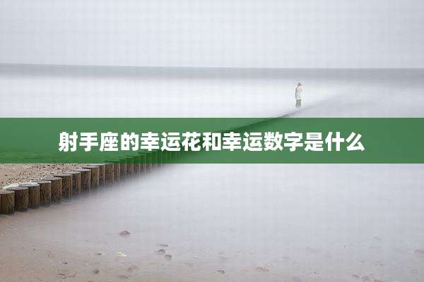 射手座的幸运花和幸运数字是什么