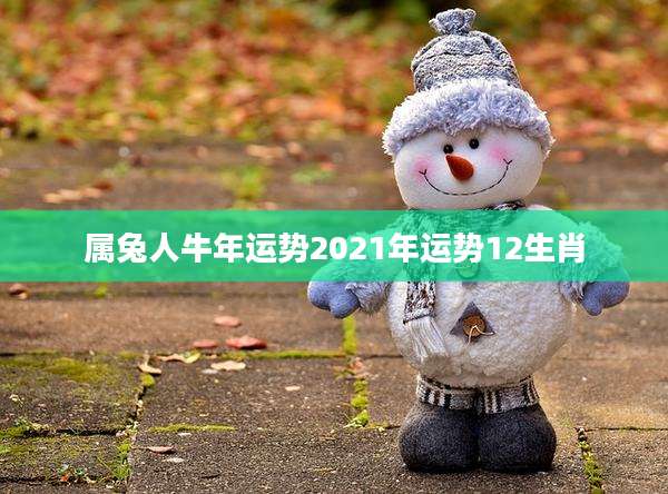 属兔人牛年运势2021年运势12生肖