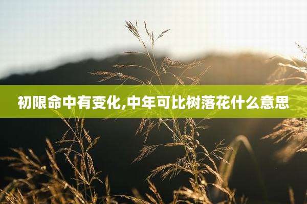 初限命中有变化,中年可比树落花什么意思