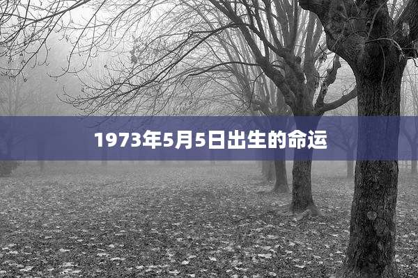 1973年5月5日出生的命运