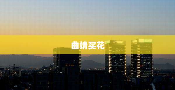 曲靖买花