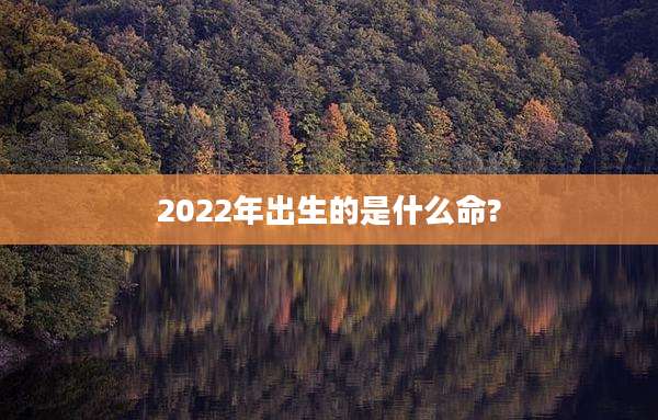 2022年出生的是什么命?