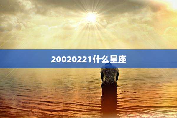 20020221什么星座