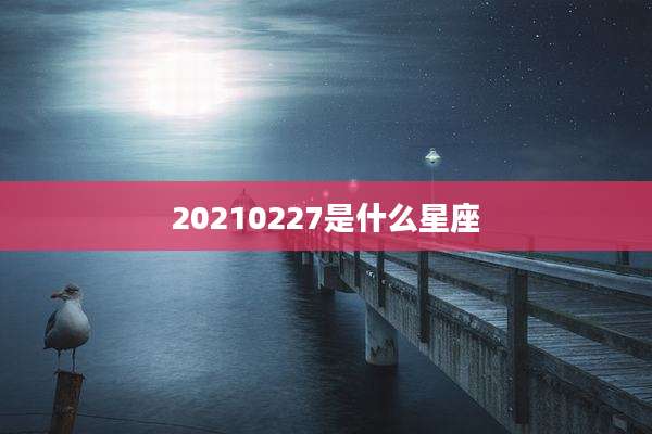 20210227是什么星座