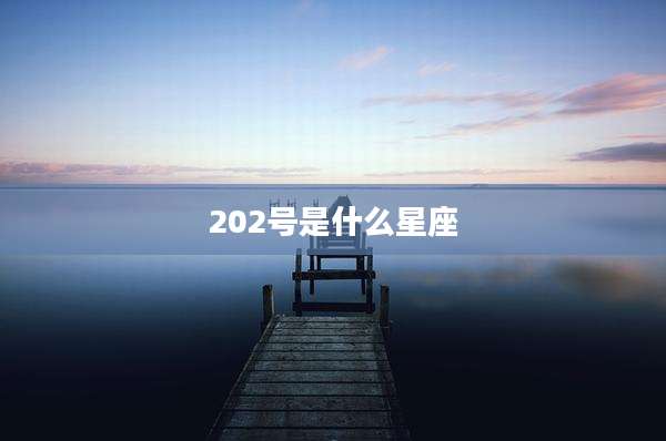 202号是什么星座