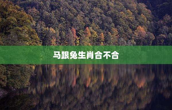 马跟兔生肖合不合