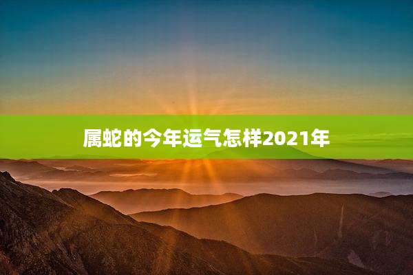 属蛇的今年运气怎样2021年