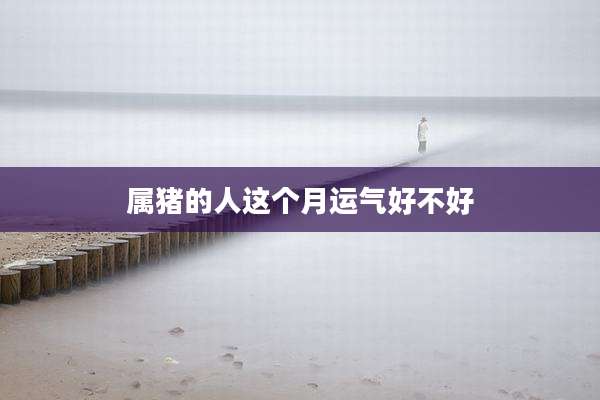 属猪的人这个月运气好不好
