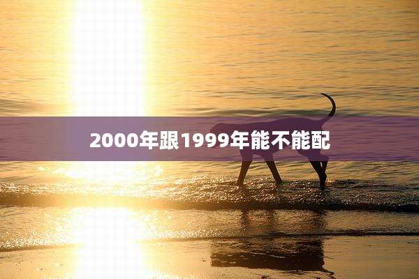 2000年跟1999年能不能配