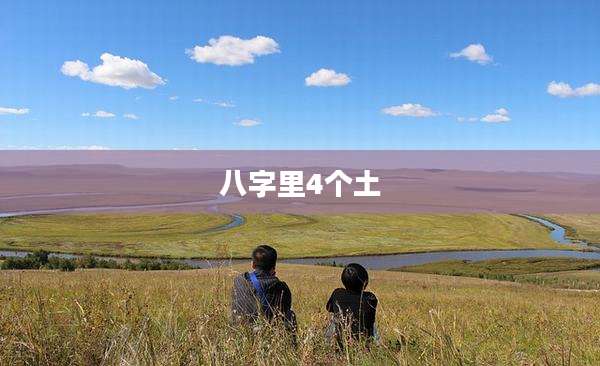 八字里4个土