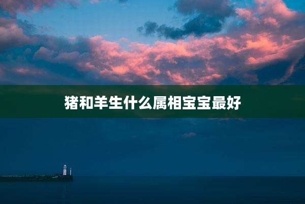 猪和羊生什么属相宝宝最好