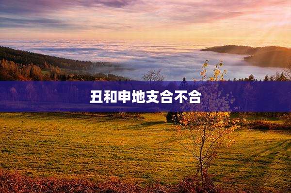 丑和申地支合不合