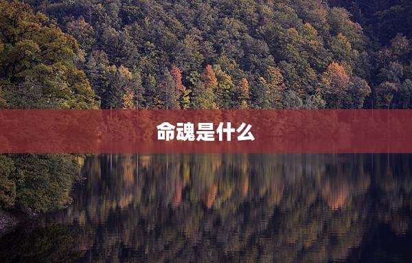 命魂是什么